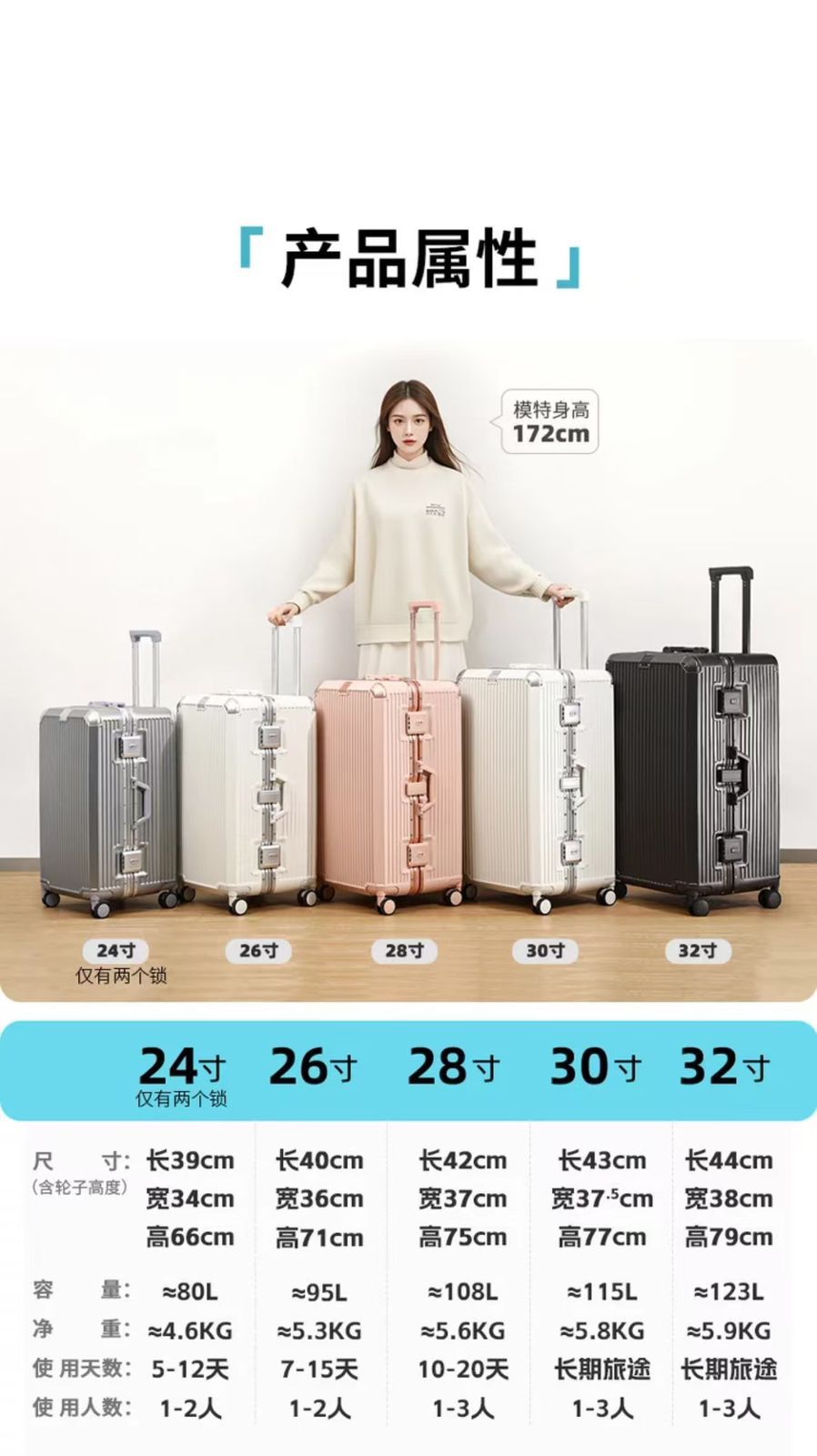 Premium Suitcase Model B